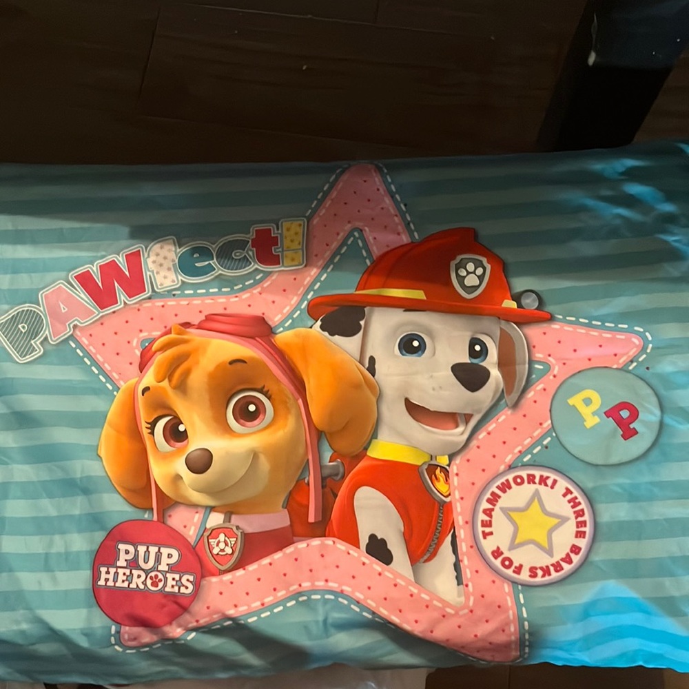 Double-Sided Paw Patrol Pillow Case